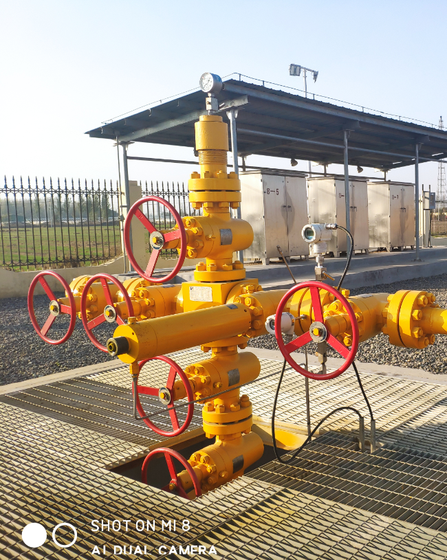 Wen 23 Gas Storage Project in Zhongyuan Oilfield